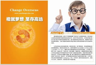 點亮未來，啟迪夢想——橙至教育咨詢圖冊引領(lǐng)教育新航向